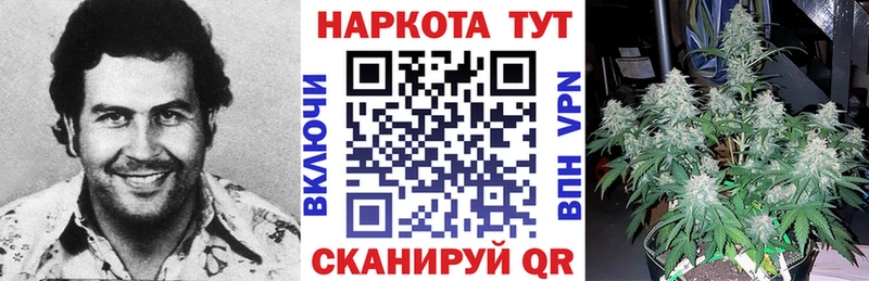 Цена Выкса Кокаин Alpha-PVP Псилоцибиновые грибы ГАШ Конопля