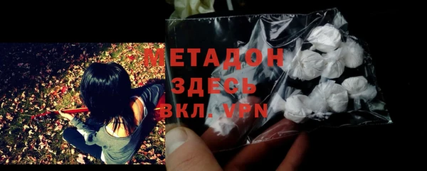 прущие грибы Верея