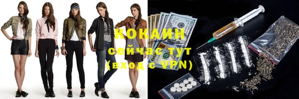 прущие грибы Верея