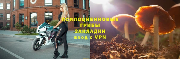прущие грибы Верея