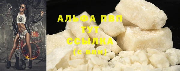 прущие грибы Верея
