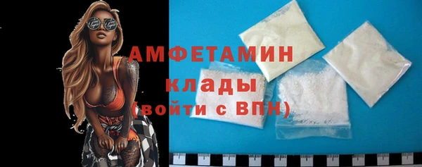 прущие грибы Верея
