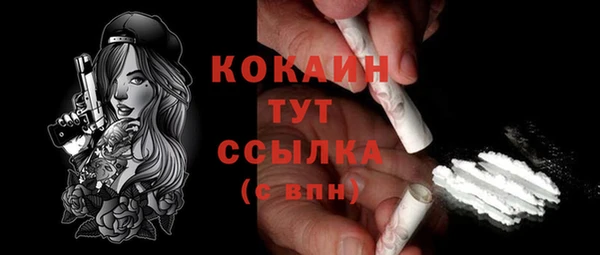 прущие грибы Верея