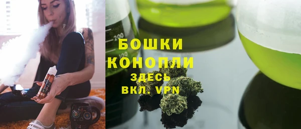 прущие грибы Верея