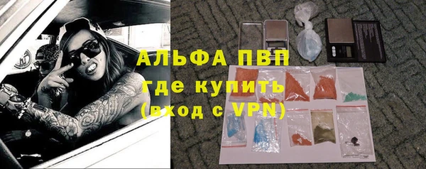 прущие грибы Верея