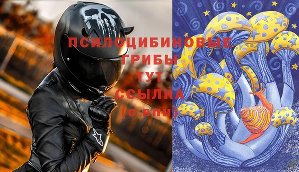 прущие грибы Верея
