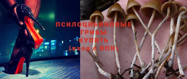 прущие грибы Верея