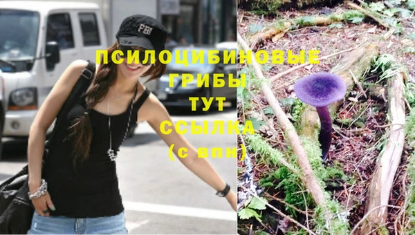 мет Верхний Тагил