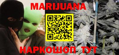 сатива Лесосибирск