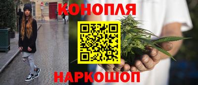 сатива Лесосибирск
