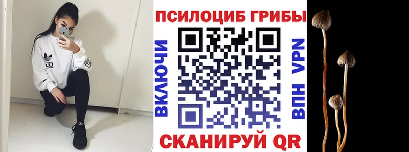 Псилоцибиновые грибы прущие грибы  кракен маркетплейс  Выкса 